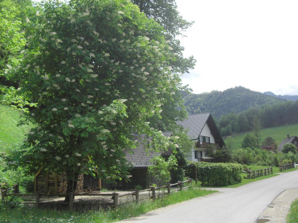 Ferienwohnung Lange Goestling an der Ybbs Luaran gambar