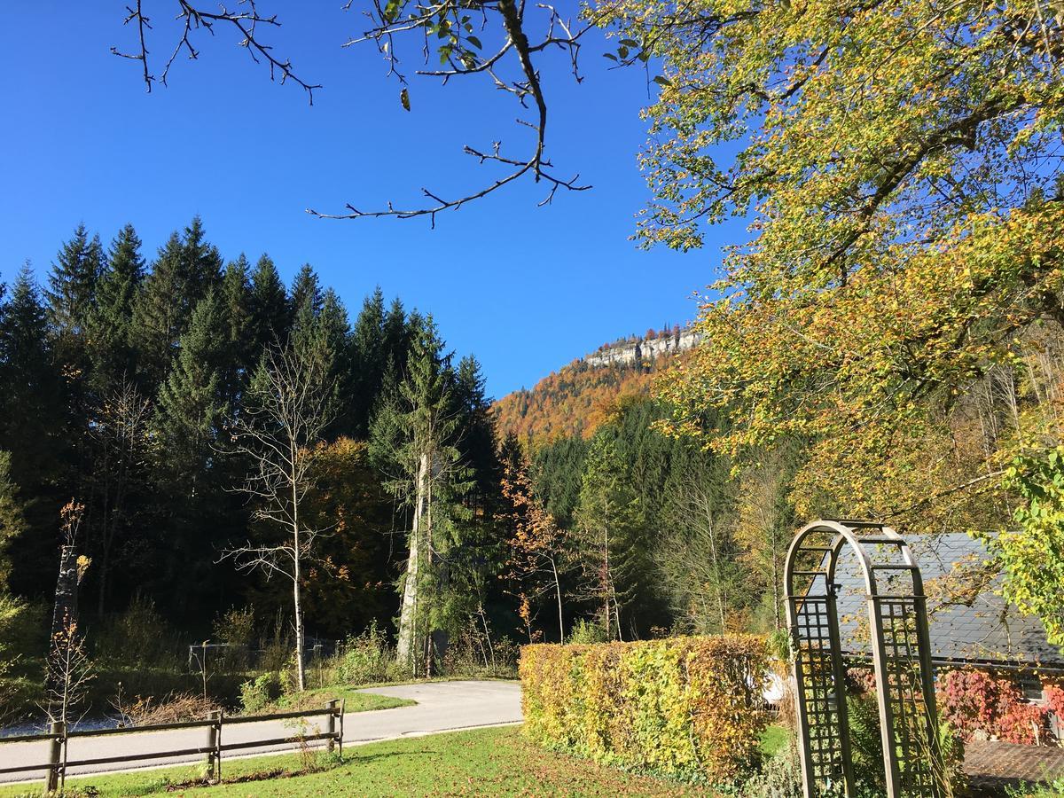 Ferienwohnung Lange Goestling an der Ybbs Luaran gambar