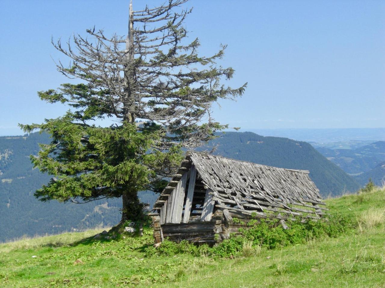 Ferienwohnung Lange Goestling an der Ybbs Luaran gambar