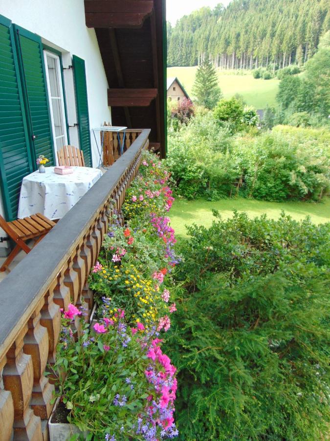 Ferienwohnung Lange Goestling an der Ybbs Luaran gambar